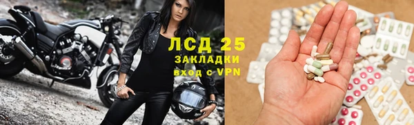ГАЛЛЮЦИНОГЕННЫЕ ГРИБЫ Беломорск