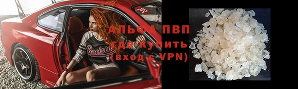 PSILOCYBIN Белокуриха