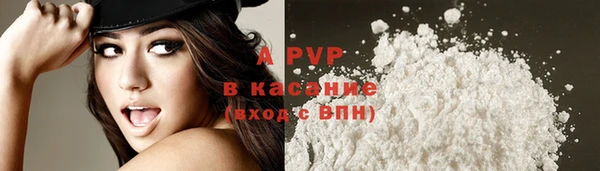 PSILOCYBIN Белокуриха