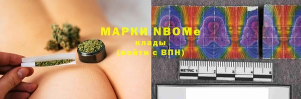 PSILOCYBIN Белокуриха