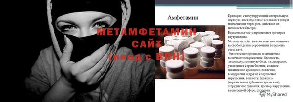 PSILOCYBIN Белокуриха