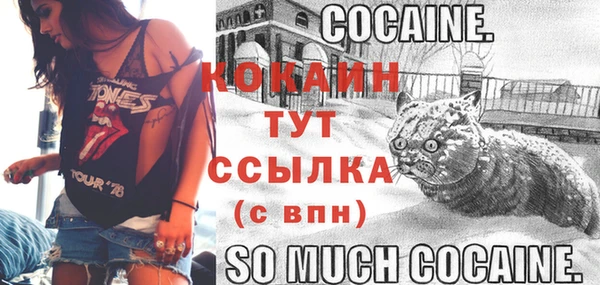 PSILOCYBIN Белокуриха