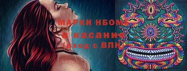 PSILOCYBIN Белокуриха