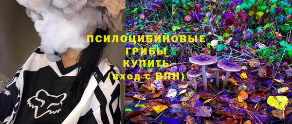 ГАЛЛЮЦИНОГЕННЫЕ ГРИБЫ Беломорск